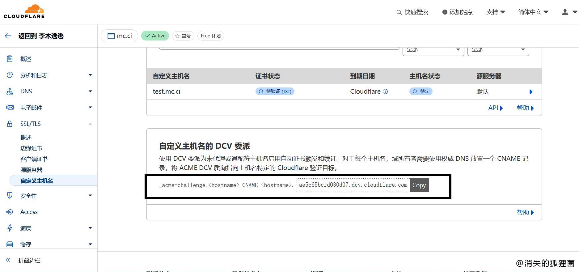 DCV委派记录