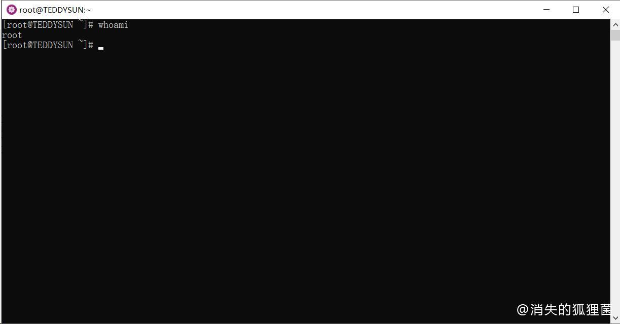 运行 CentOS8.exe