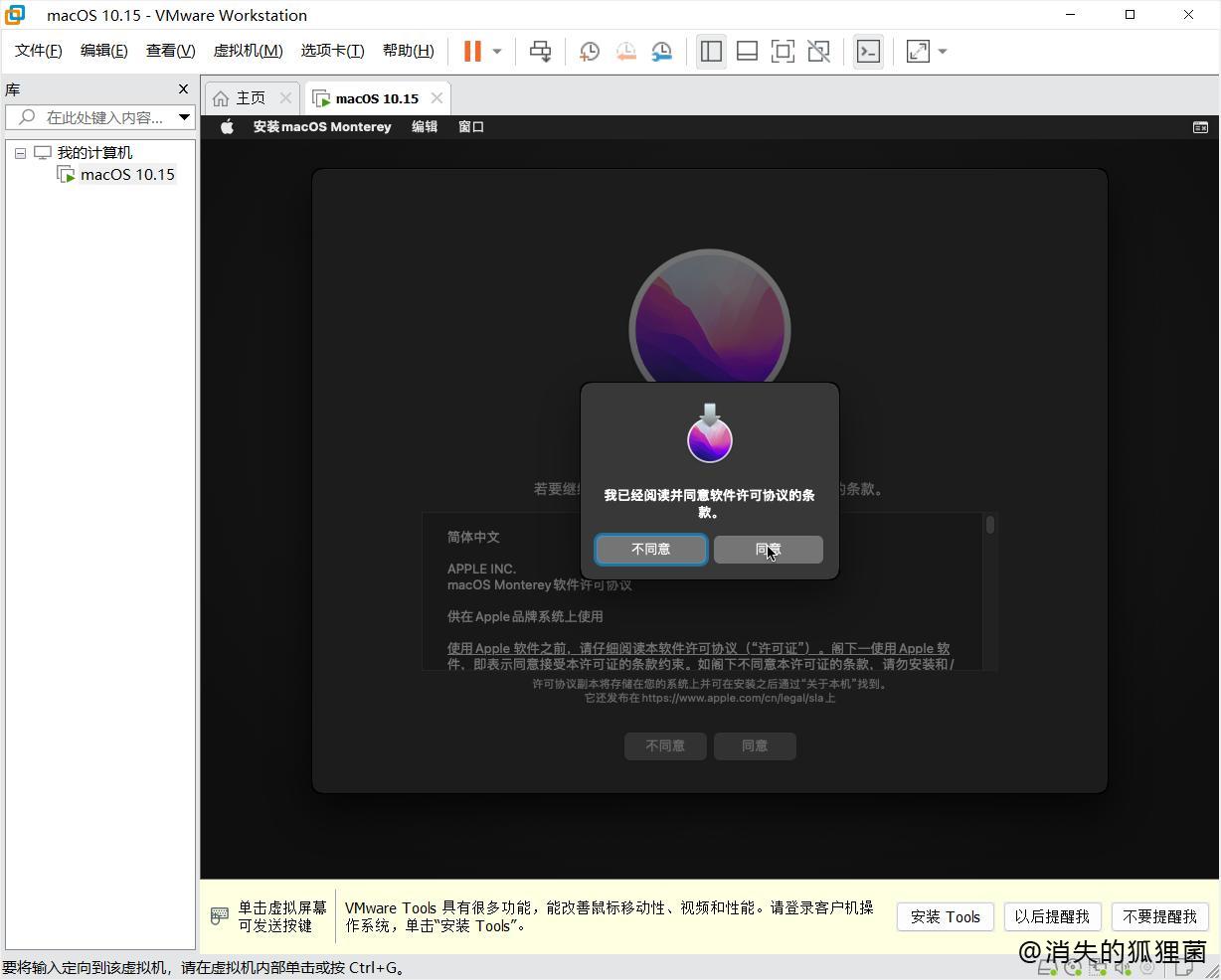 安装macOS Montetey