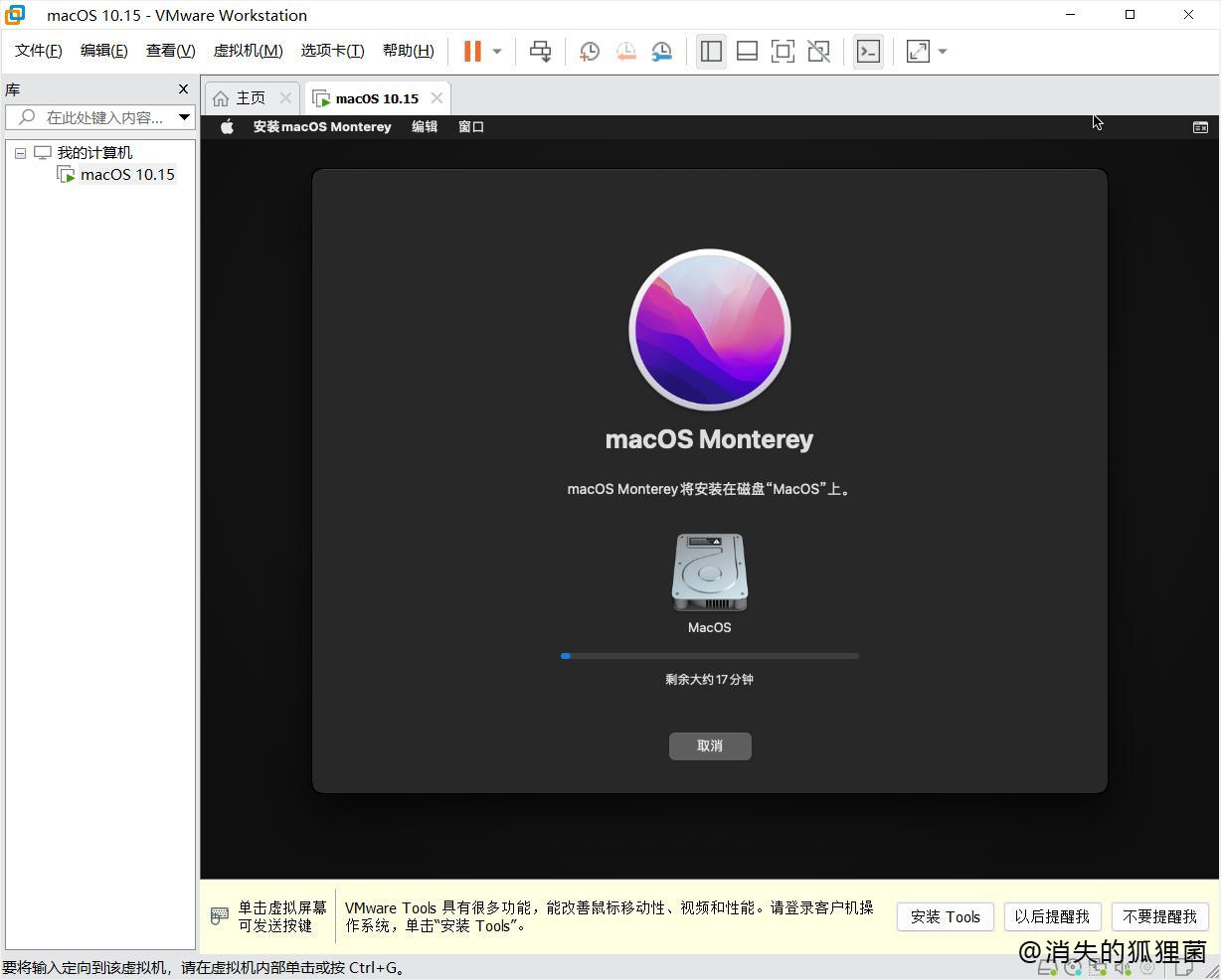 安装macOS Montetey